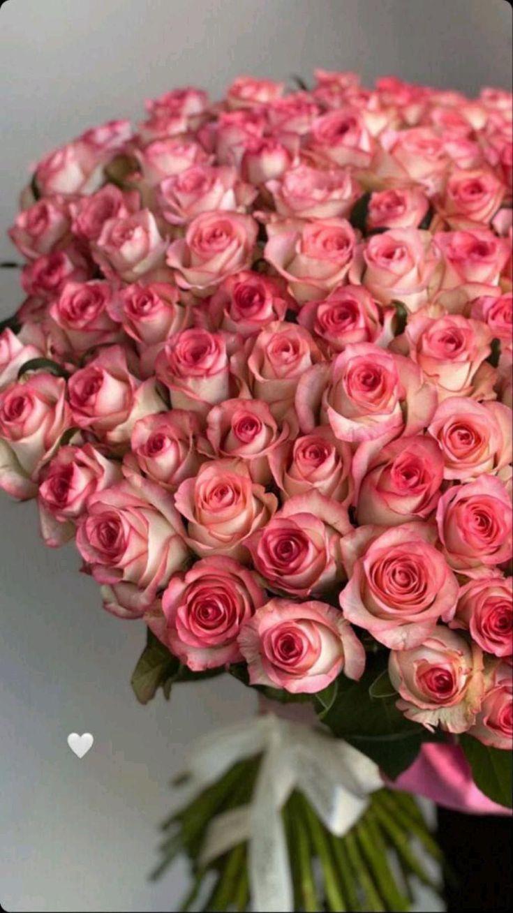 Enchanted Eve Vibrant Blossom Medley
